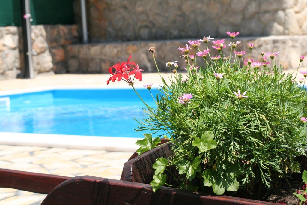 Apartments Petricic With Swimming Pool Icici Ngoại thất bức ảnh